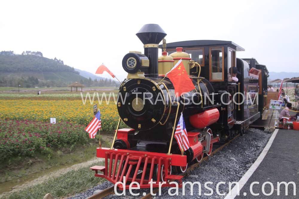 Rail Trains FLOWER GARDEN